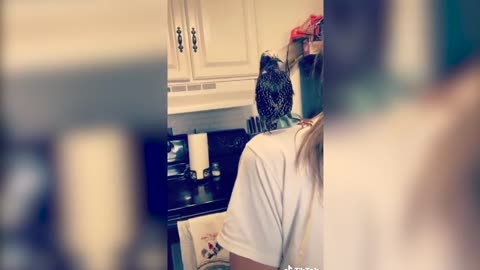 BIRDS TALKING LIKE HUMANS