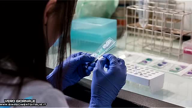 TEST RAPIDO PER INDIVIDUARE DIFFERENZAZIONI TRA INFLUENZA E COVID-19 - VERO GIORNALE 06.12.2021