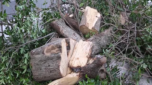 Nevrijeme pogodilo Šibenik, pogledajte štetu