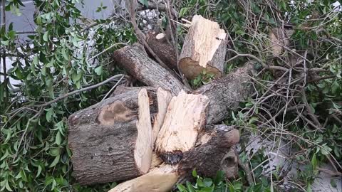 Nevrijeme pogodilo Šibenik, pogledajte štetu