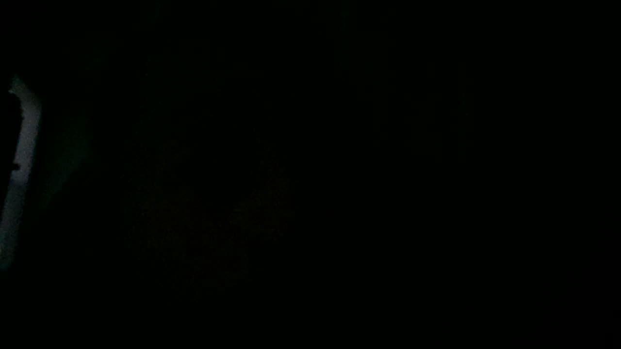 Was An Incel Scouted By A Chinese National