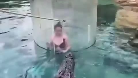 Woman swimming with crocodile