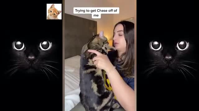 Pet Which Make You Feel Happy | Funny Videos