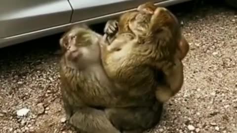 Please tell me what you think after watching this video