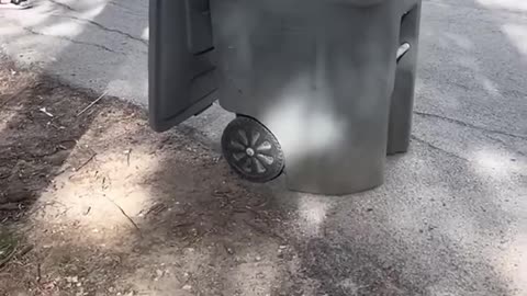 when beign a karen goes wrong