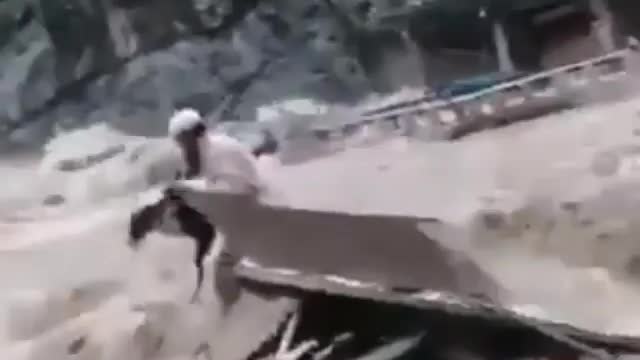 Man Risks his life to save Dog!