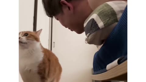 The cat couldn't tolerate the breath of his human