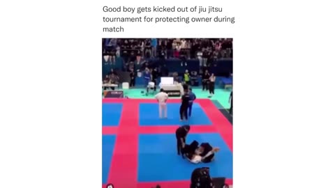Dog Saves Owner from a Fight!