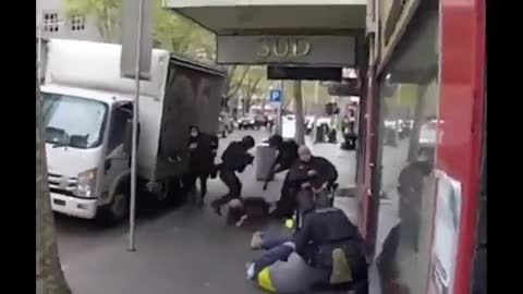 Australia terror psów /gliniarzy