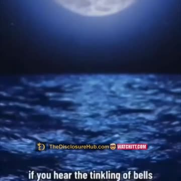 Dreams vs Nightmares