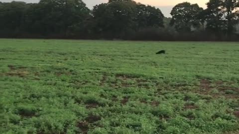 Filming the Farming Sights in the World