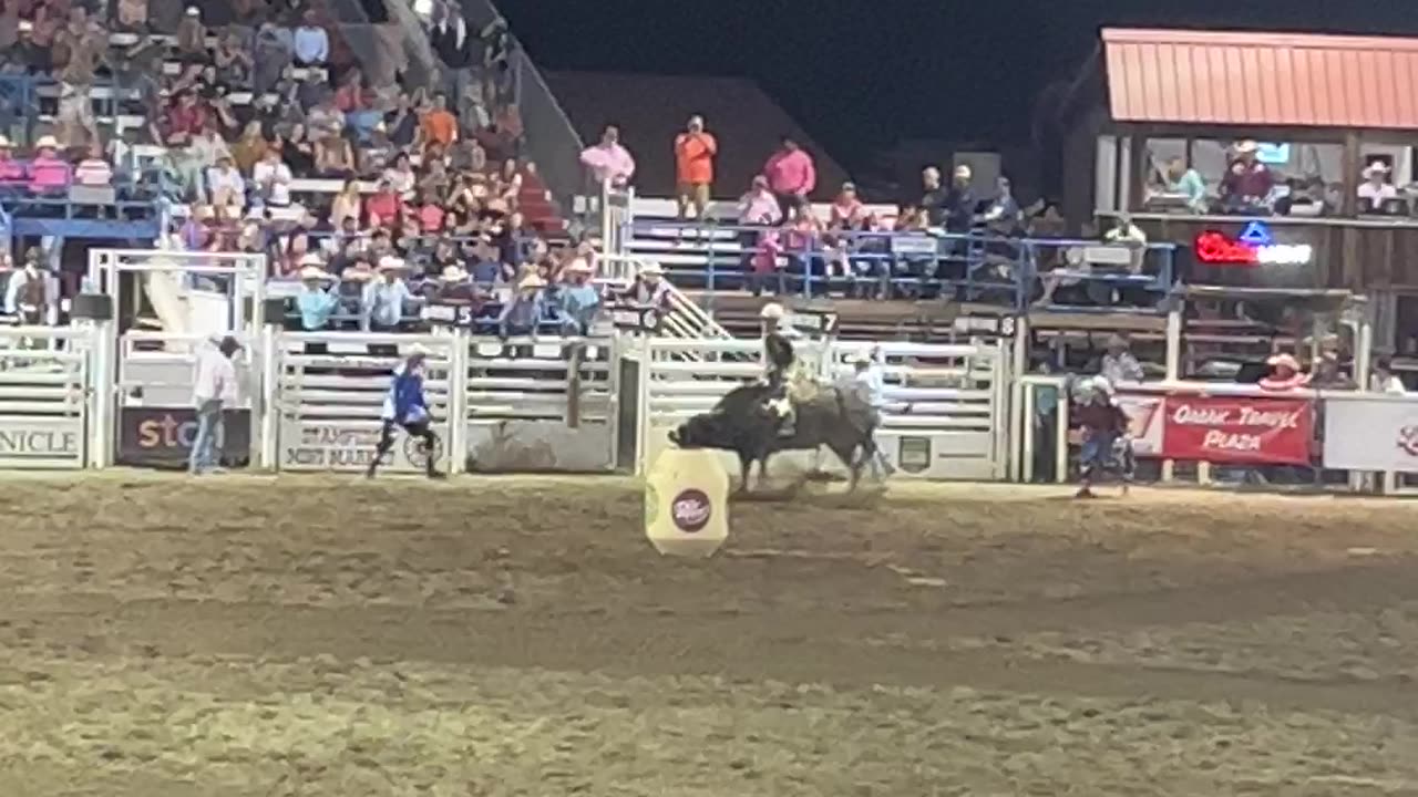 Omak Stampede 8-9-24 Bull Riding #1