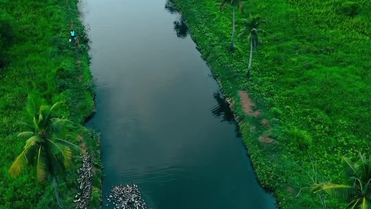 Natural