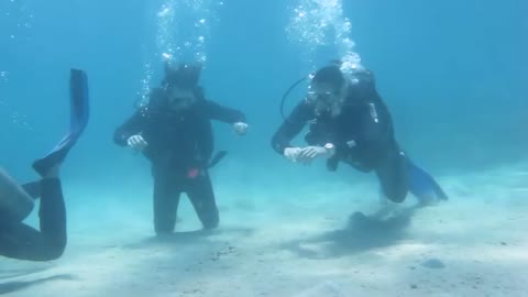 Nha Trang Scuba, Zach and Felix