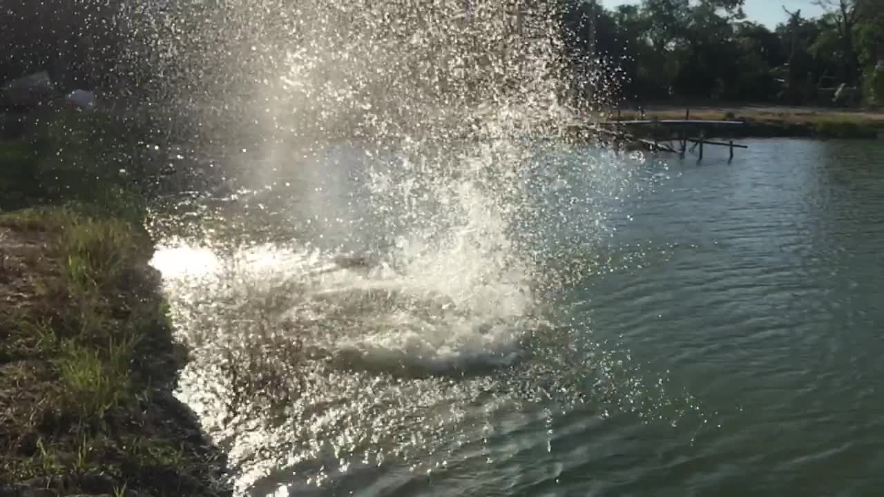 Flying Head-First Scooter Water Jump