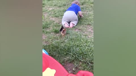 Funny Animals Reaction- Try Not To Laugh Dogs With Baby Funny