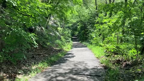 Breackneck Brook Falls & Cornish Estate Ruins (Hudson Highlands State Park, Cold Spring, NYS) 6