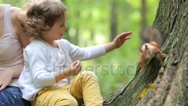 A cute little girl feed the red squirrels in the Park.