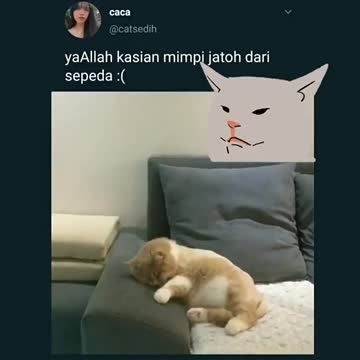 a cat who dreams of falling off a bicycle