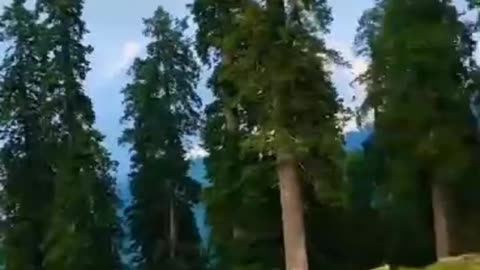 Beauty of Kashmir