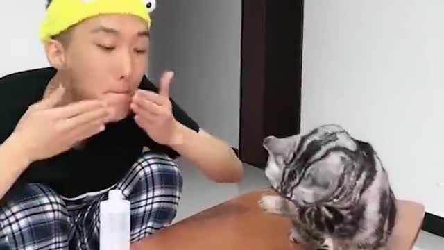 So Cute ♥ Funny Cats and Dogs... part# 4