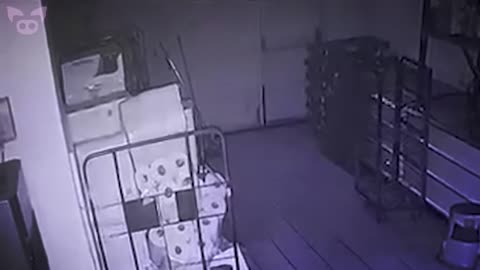 These Ghost Videos Are Scaring Paranormal Investigators