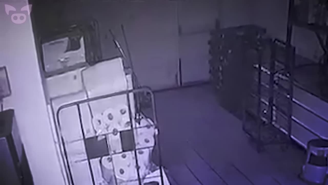 These Ghost Videos Are Scaring Paranormal Investigators