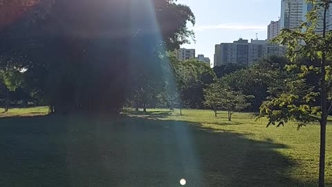 Parque Águas Claras Brasília Brasil