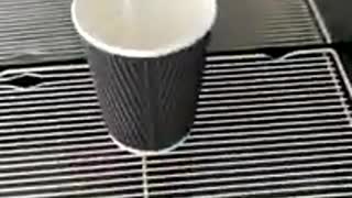 The Real Method of Cappuccino Tea