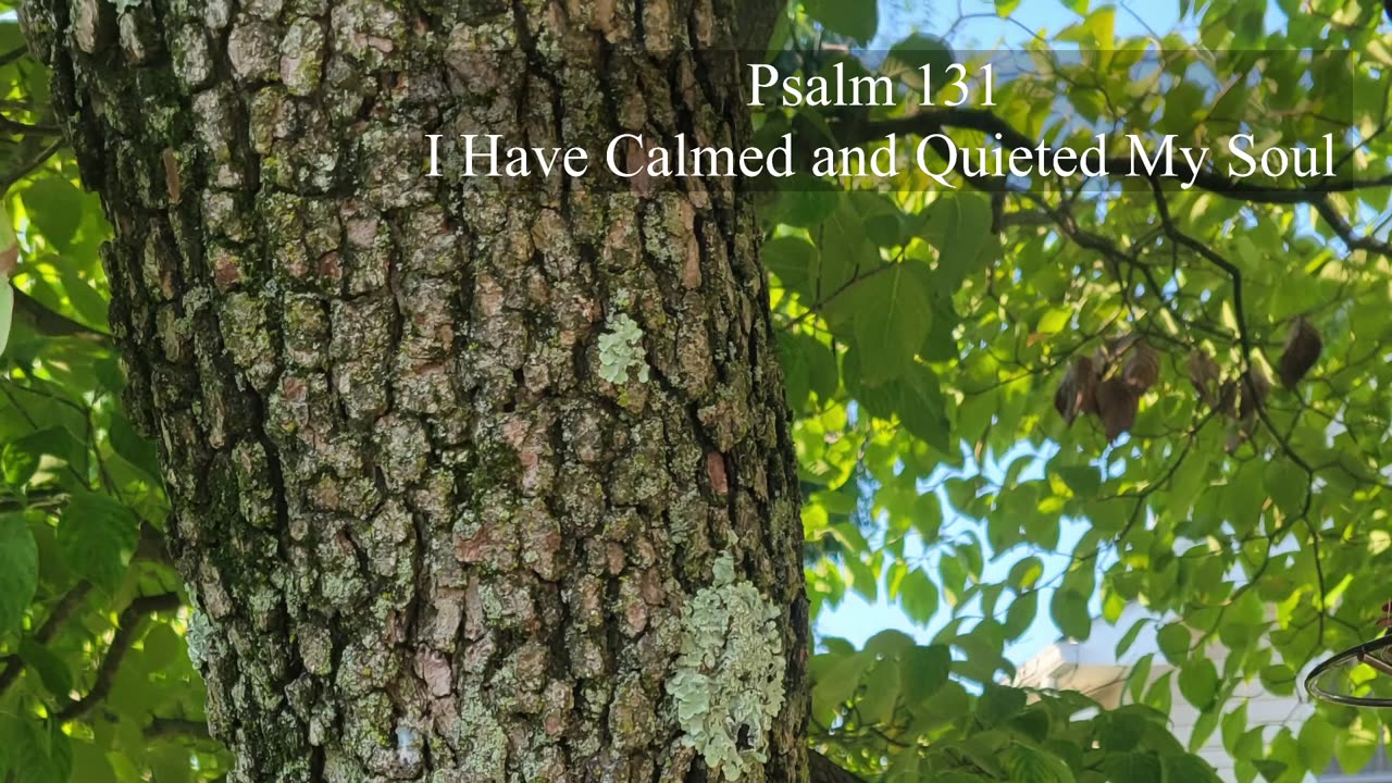 Psalm 131 - ESV Audio