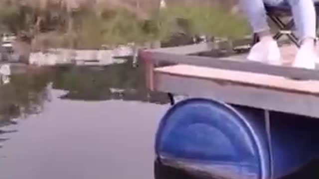 Top seafood viral