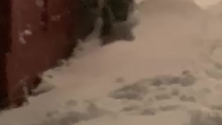 Mateo’s first snow