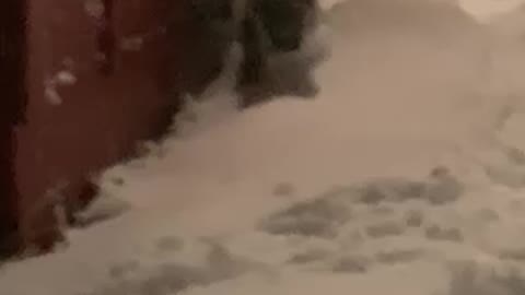 Mateo’s first snow