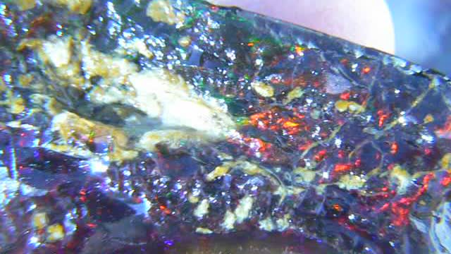 Black Virgin Valley Opal