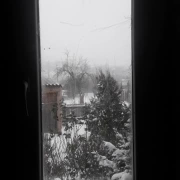 Winter garden in the window