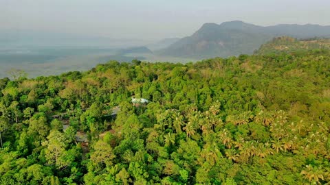 Drone visualiza linda floresta