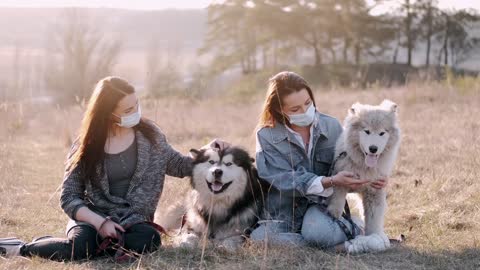 Enjoying With Beautiful Dogs