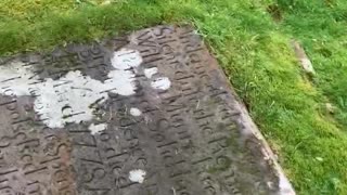 Alness Burial Ground