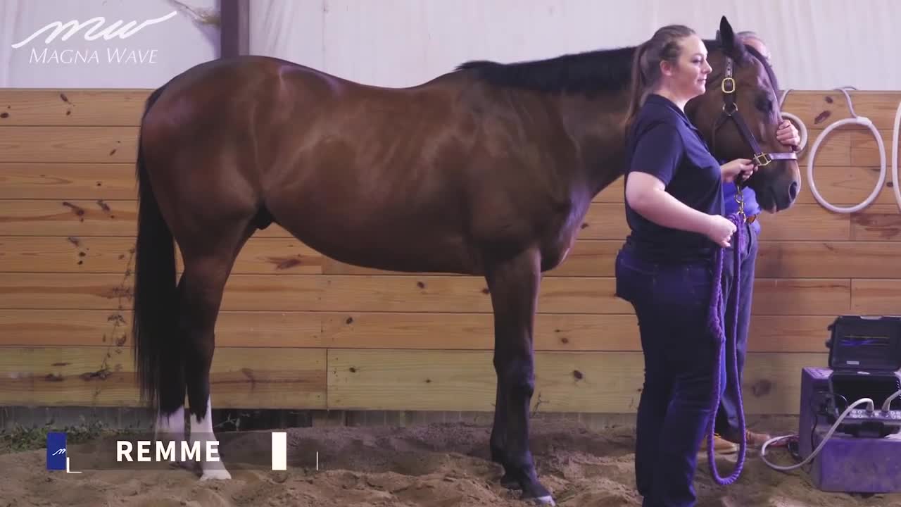 Horse - trating