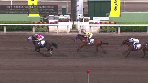 Horse_Race_2022060505_Chinese