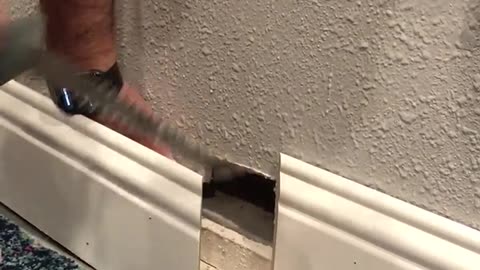 CAT STUCK IN THE WALL