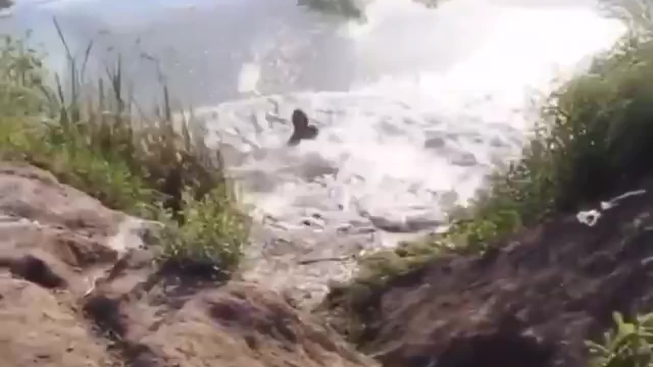 Real extreme sports