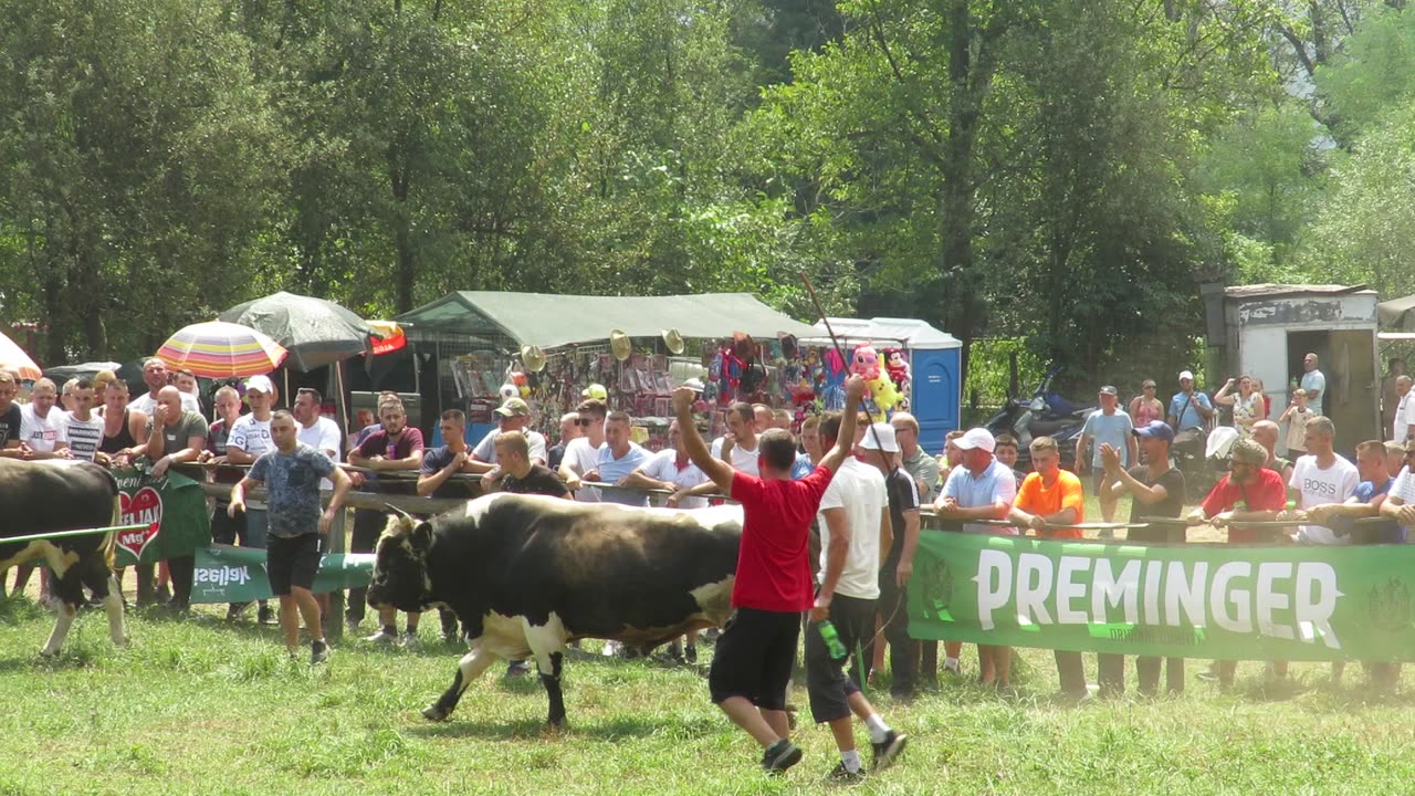 Lozonja od Kadrića vs Lozonja od Hajdarevića Lugovi 2024