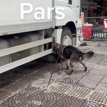 funny|prank|jokes|funny jokes|dad jokes|funny memes|funny video|fun|laughing|funny animal|knock