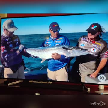 Try this new bait for big fish