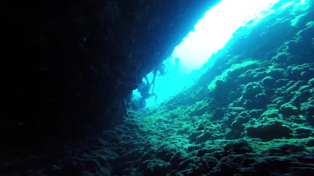 plonger sous marine scuba diver the sea