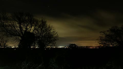 The sound of crickets and katydids at night. Relaxing sound