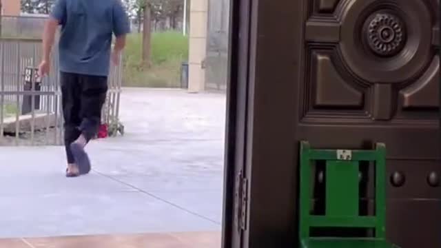 FUNNY ANIMALS VIDEOS 2022