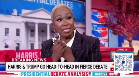 Joy Reid Describes Joe Biden Perfectly