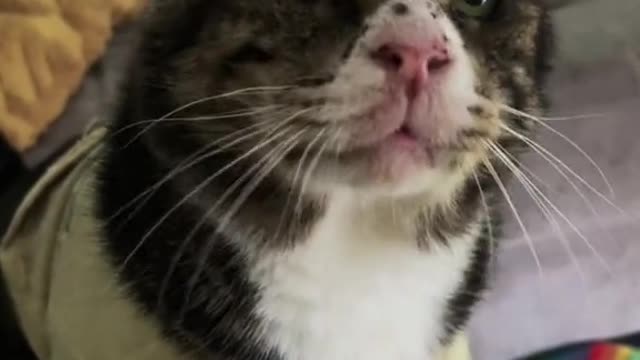 Hos head was much bigger when i found him. See pinned video for refrence